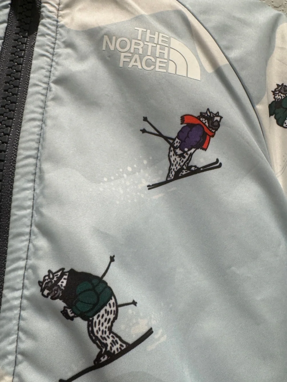 The North Face never got